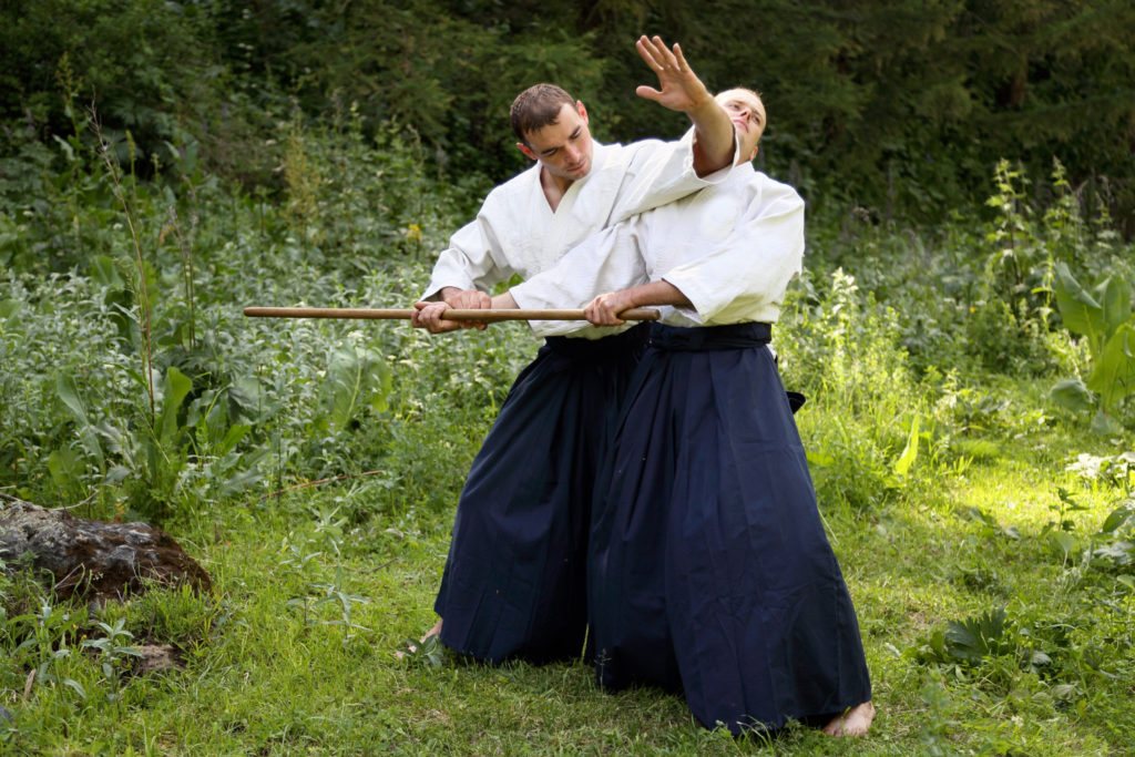 Aikido jest sztuką walki defensywną, która to nastawiona jest na samoobronę